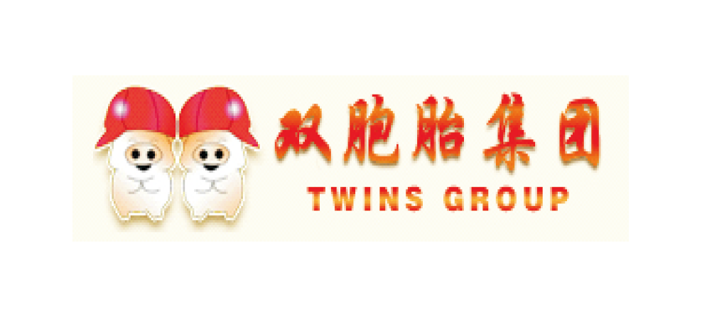 雙胞胎集團